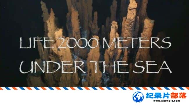 ̬¼Ƭǧ Life 2000 Meters Under The Sea 2016ӢӢ-Ѹ