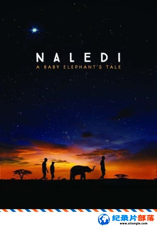 ѧ̽¼ƬյϣһֻСĹ Naledi: A Baby Elephant Tale 2016Ӣ-Ѹ