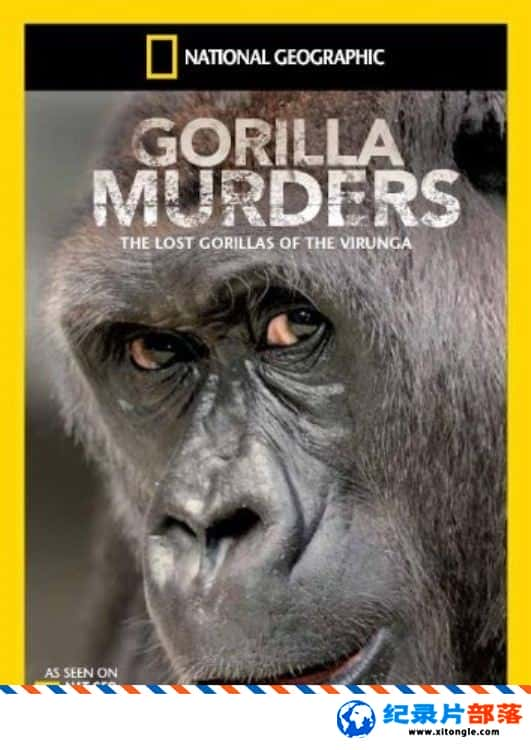 ʷ¼Ƭıɱ Gorilla Murders 2009Ӣ-Ѹ