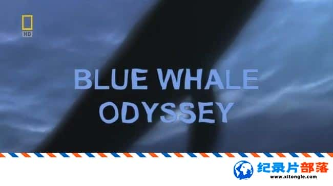 ̬¼ƬСռ Blue Whale Odyssey 2010Ӣ-Ѹ