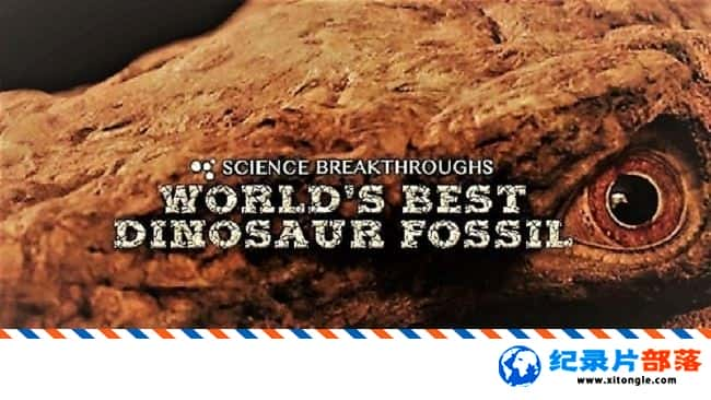 ѧ̽¼ƬõĿʯ World Best Dinosaur Fossil 2017Ӣ-Ѹ