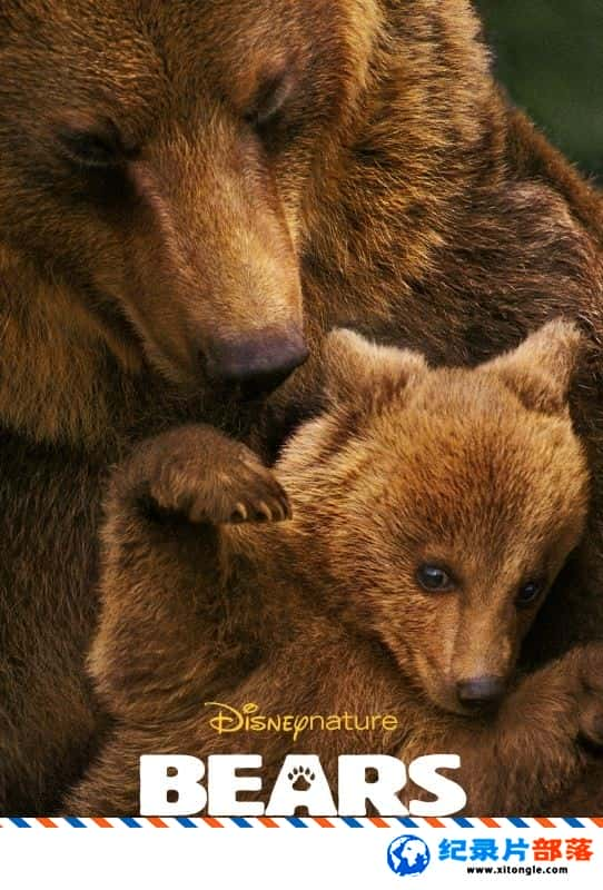 ѧ̽¼Ƭ Bears 2016-Ѹ