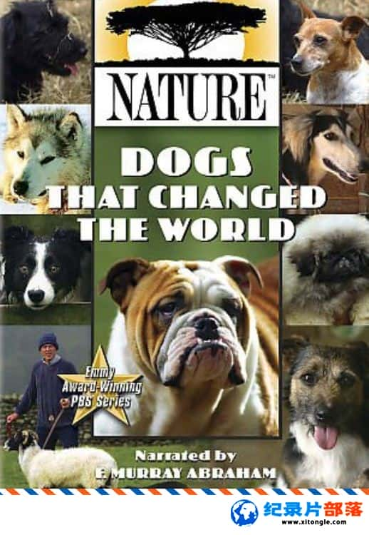 ѧ̽¼Ƭı/ıȮ Dogs That Changed The World 2009 -Ѹ