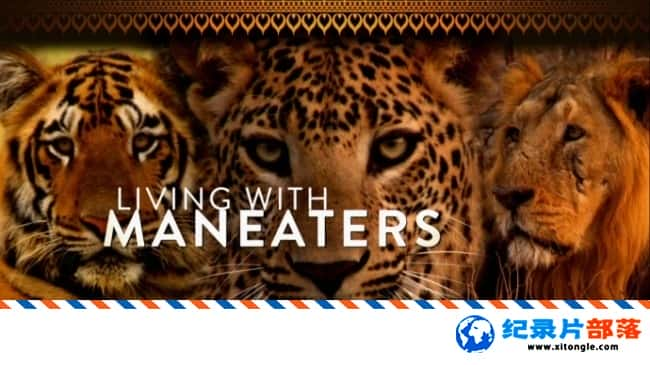 ̬¼ƬҰһ Living with Maneaters 2017ӢӢ-Ѹ