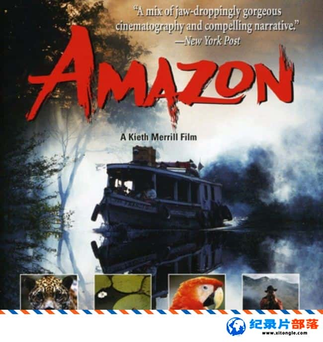 ʷ¼Ƭѷ Amazon 1997Ӣ-Ѹ