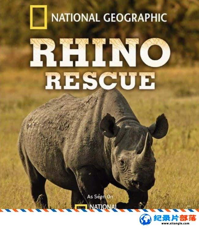 ̬¼ƬϬţ Rhino Rescue 2009Ӣ-Ѹ