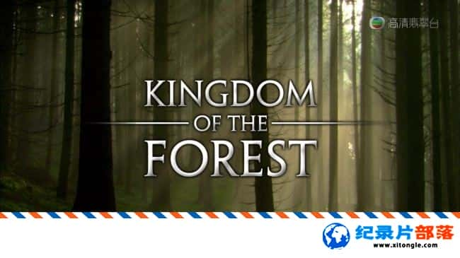 ̬¼Ƭɭ֮ؾ Kingdom Of The Forest 2012Ӣ˫-Ѹ