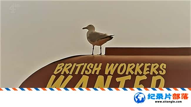 ʷ¼ƬӢ British Workers Wanted 2017ӢӢ-Ѹ