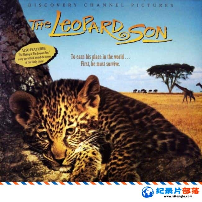 ̬¼Ƭ֮/ The Leopard Son  1996Ӣ-Ѹ