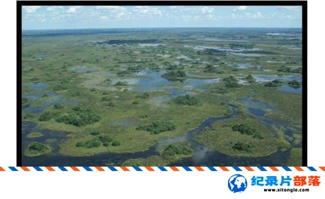 ̬¼ƬĮ/ˮĵɳĮ Wild Kalahari The Flooded Desert 2009Ӣ-Ѹ