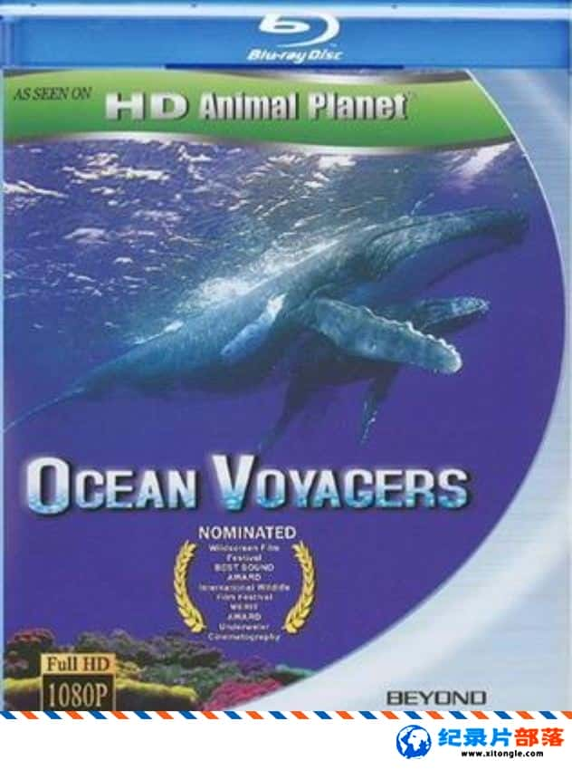 ̬¼ƬϵУ֮ Ocean Voyagers 2007Ӣ-Ѹ