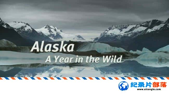 ̬¼Ƭ˹ӣҰһ Alaska A Year In The Wild 2017 ӢӢ-Ѹ