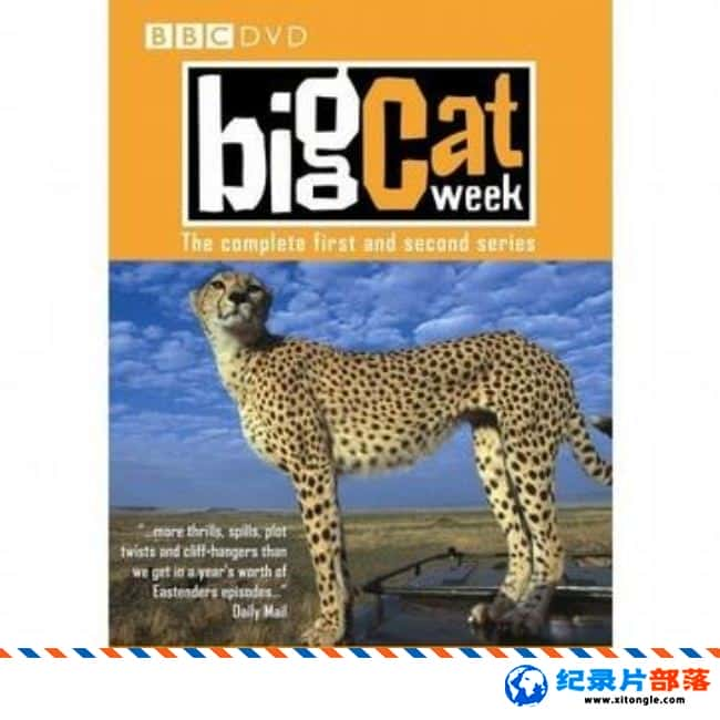 ̬¼Ƭʨ Big Cat Week 2006 Ӣ-Ѹ