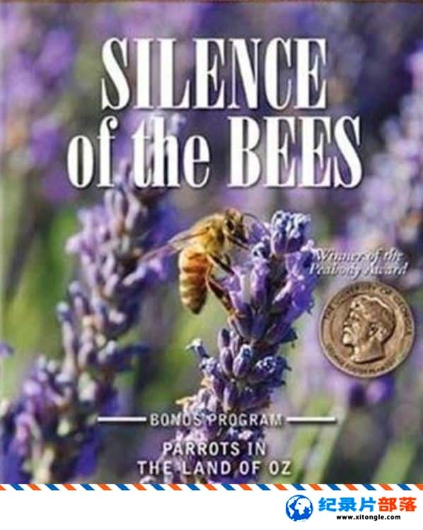 ̬¼ƬĬ۷ Silence of the Bee 2009Ӣ-Ѹ