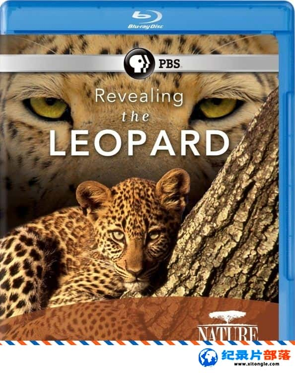 ̬¼Ƭҿޱ֮ Revealing the Leopard 2010Ӣ-Ѹ