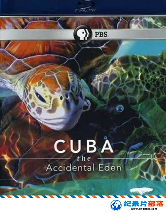 ̬¼ƬŰͣ԰ Cuba: The Accidental Eden 2010Ӣ-Ѹ