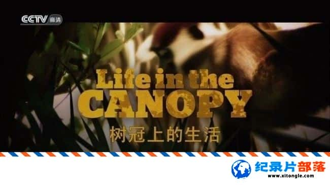 ̬¼Ƭϵ Life in the Canopy 2010 Ӣ-Ѹ