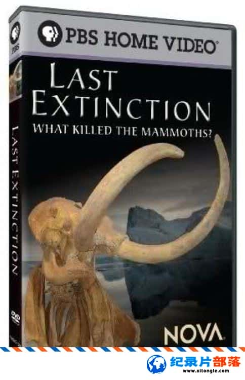 ̬¼Ƭ Last Extinction 2009Ӣ-Ѹ