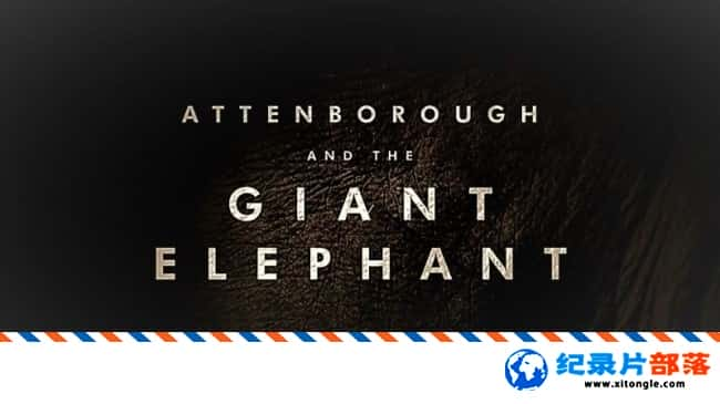 ʷ¼ƬǱ Attenborough and The Giant Elephant 2017ӢӢ-Ѹ