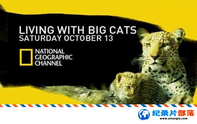 ̬¼Ƭèͬ/èһͬ Living With Big Cats 2009Ӣ-Ѹ