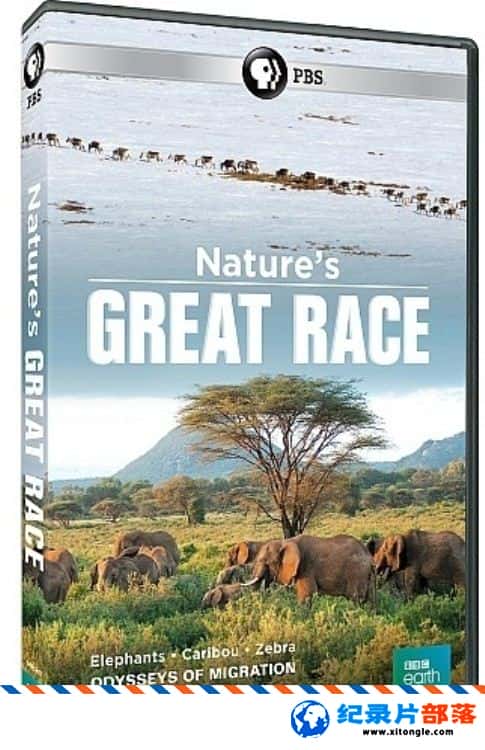 ѧ̽¼ƬȻΰ Nature Great Race Zebra 2017ӢӢ-Ѹ