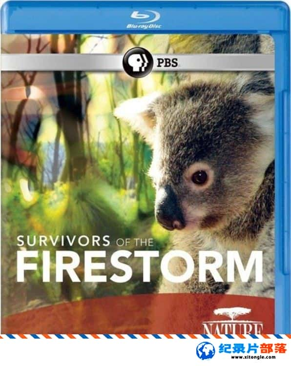 ̬¼ƬҴ Survivors of the Firestorm 2011Ӣ-Ѹ