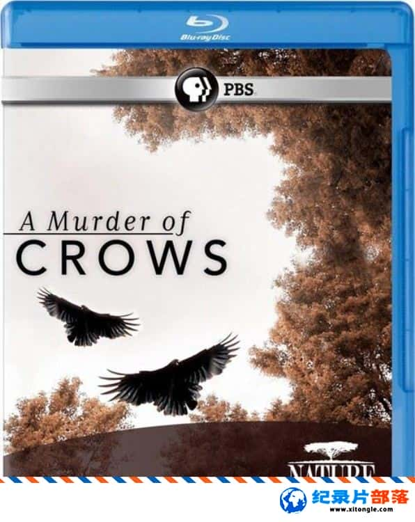 ̬¼Ƭѻ A Murder of Crows 2010Ӣ-Ѹ