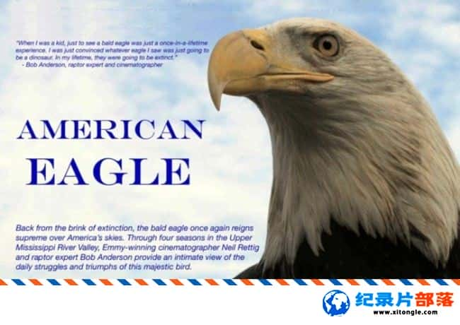 ̬¼Ƭӥ American Eagle 2008ӢӢ˫-Ѹ