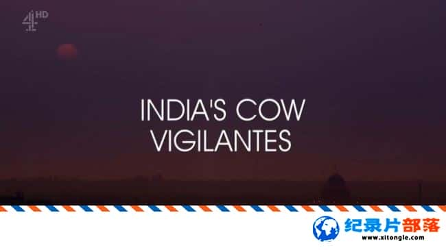 ̬¼Ƭӡȵţ India Cow Vigilantes 2017ӢӢ-Ѹ