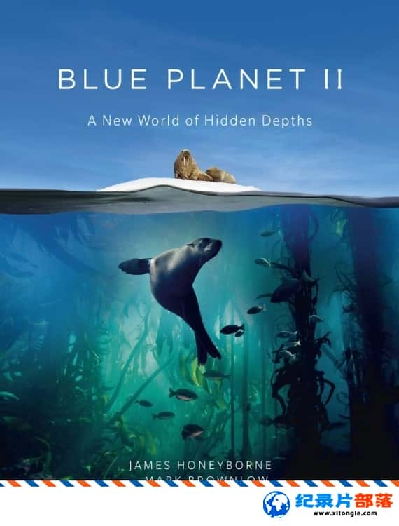 ̬¼Ƭɫ II 2֮Y Blue Planet  IIThe Deep 2017ڶ2 Ӣ-Ѹ