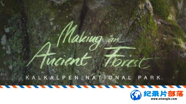 ̬¼ƬعԶɭ֡Kalkalpenҹ԰ Making An Ancient Fores 2017ӢӢ-Ѹ