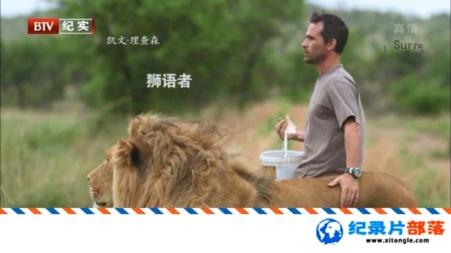 ʷ¼Ƭʨ Wild The Lion Whisperer 2008-Ѹ