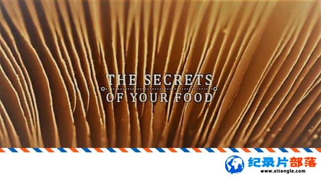 ѧ̽¼Ƭʳ The Secrets Of Your Food 2017һ ӢӢ-Ѹ