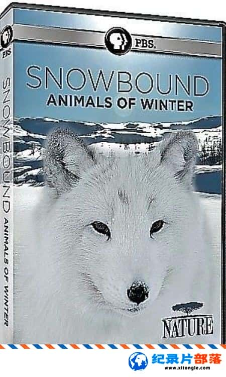 ̬¼Ƭѩأ Nature Snowbound Animals of Winter 2017ӢӢ-Ѹ