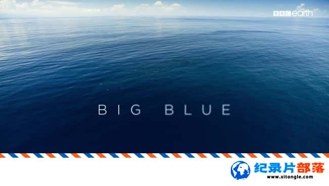 ̬¼ƬɫII 4  Blue Planet II Big Blue 2017ڶ4 Ӣ-Ѹ