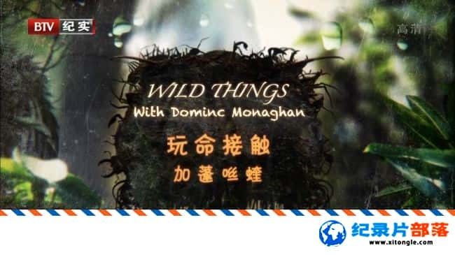 ʷ¼ƬӴ/ȫӴ Wild Things With Dominic Monaghan6 BTV -Ѹ