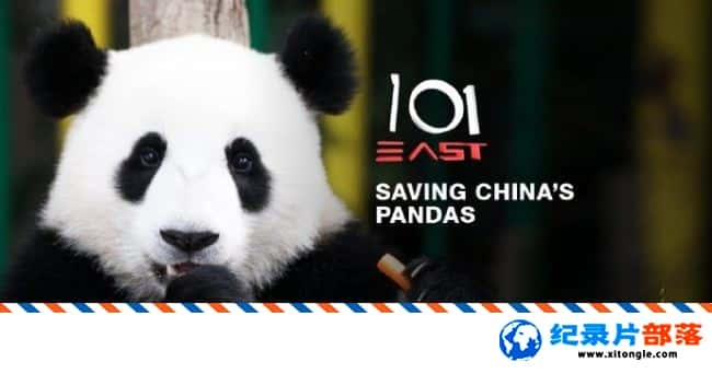 ̬¼Ƭȴè Saving China Pandas 2017Ӣ-Ѹ