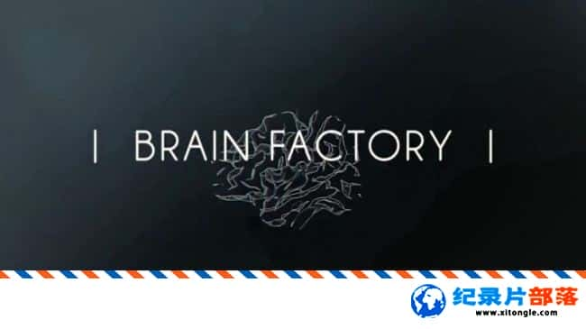 ѧ̽¼ƬԹ Brain Factory 2017ӢӢ-Ѹ