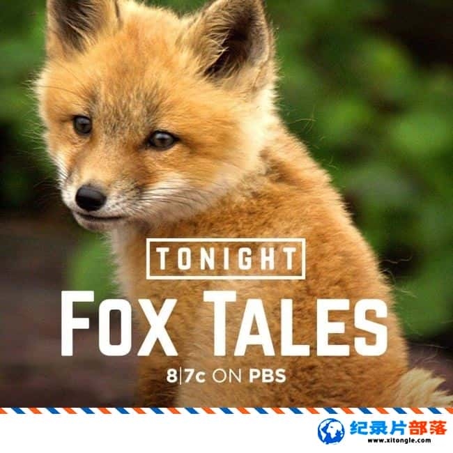 ѧ̽¼Ƭ괫˵ Fox Tales 2017ӢӢ-Ѹ