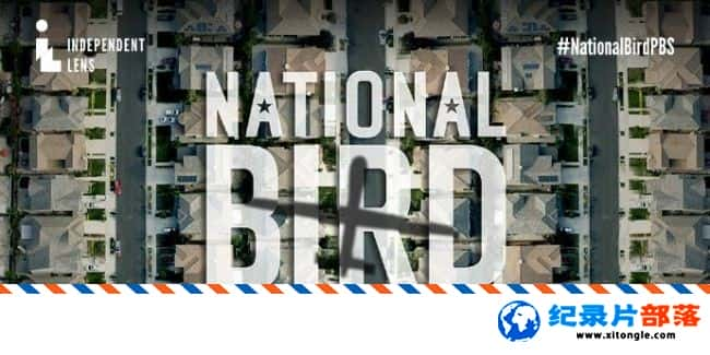 ʷ¼Ƭսӥ/ National Bird 2017ӢӢ-Ѹ