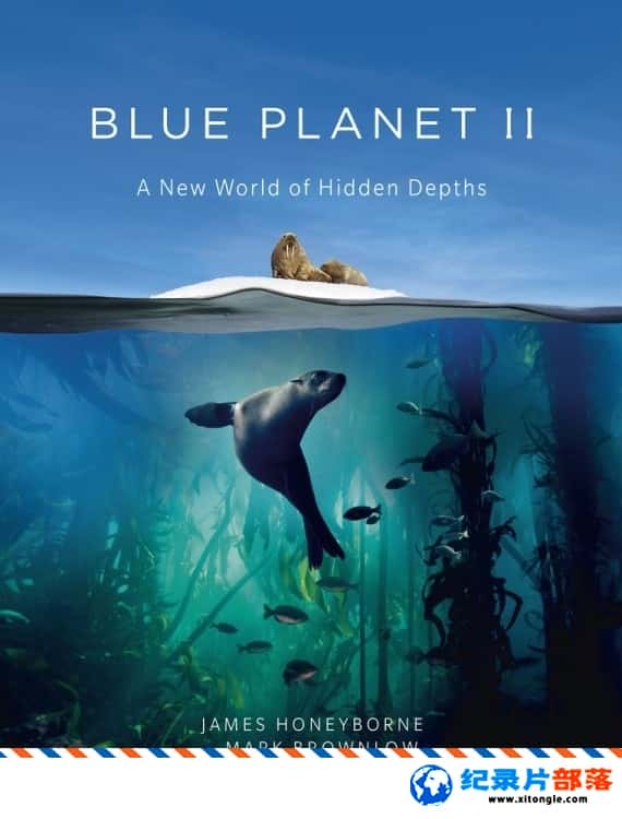 ̬¼Ƭɫ II 3ɺ Blue Planet IICoral Reefs 2017ڶ3 Ӣ-Ѹ