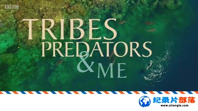 ̬¼Ƭ䡢޺ Tribes Predators Me 2017 ӢӢ-Ѹ