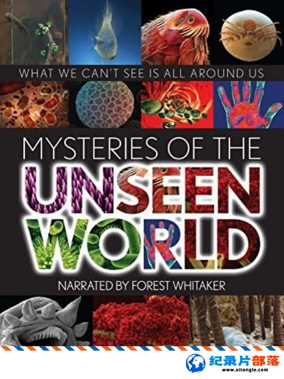 ѧ̽¼Ƭۿ/δ֪ Mysteries of the Unseen World 2013ӢӢ-Ѹ