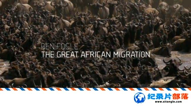 ̬¼Ƭ޴Ǩ The Great African Migration 2017 ӢӢ-Ѹ