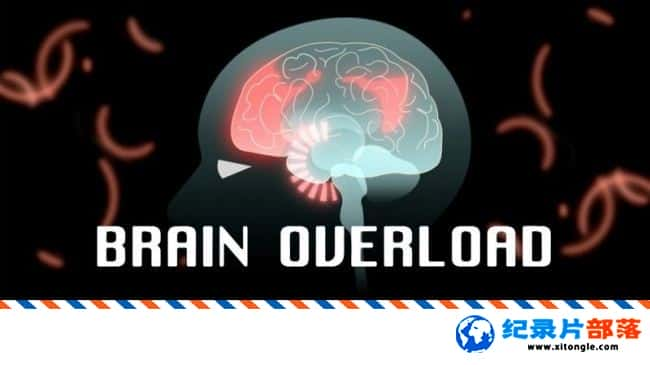 ʷ¼ƬԳ Brain Overload 2016ӢӢ-Ѹ