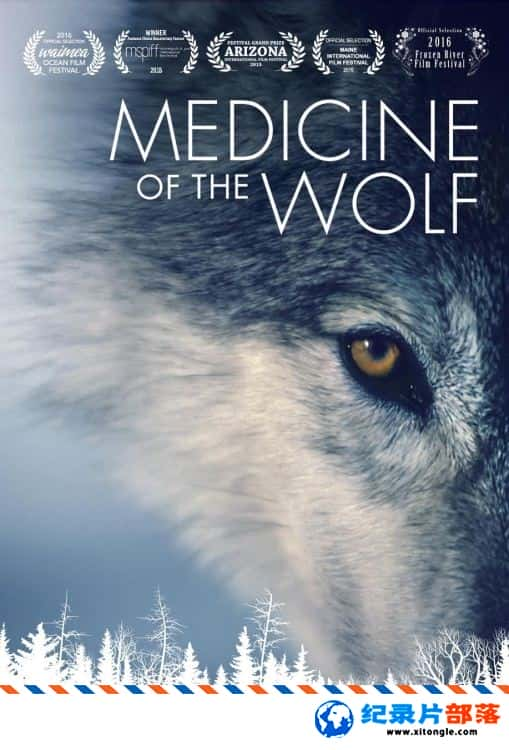 ̬¼Ƭҽѧ/Ľҩ Medicine of the Wolf 2015ӢӢ˫-Ѹ