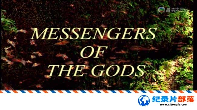 ѧ̽¼Ƭϵ۵ʹ/֮ŵ Messengers of the Gods 2010Ӣ˫-Ѹ