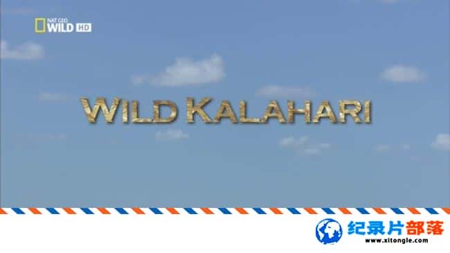 ̬¼ƬҰ֮: ɳĮ Wild Kalahari 2014Ӣ-Ѹ