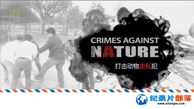 ̬¼Ƭ˽ Crimes Against NatureThe Ivory Trade 2014Ӣ-Ѹ