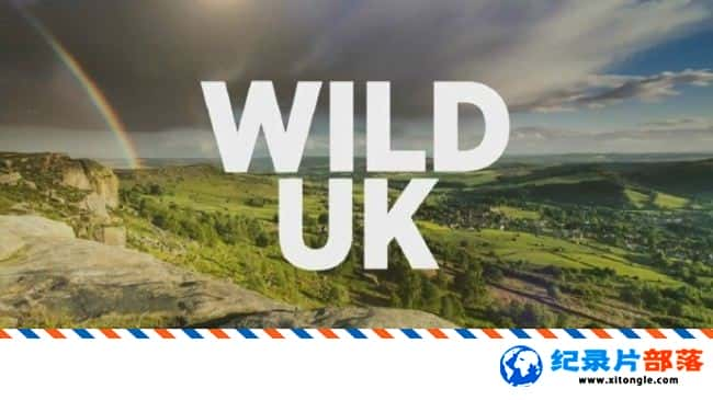 ̬¼ƬҰӢ Wild UK 2017 ӢӢ-Ѹ